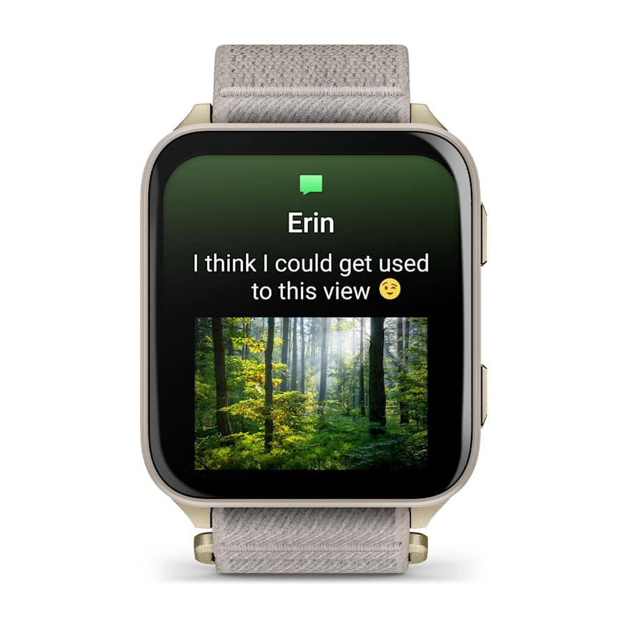 Smartwatch Garmin Venu® X1 Gris 51,2mm