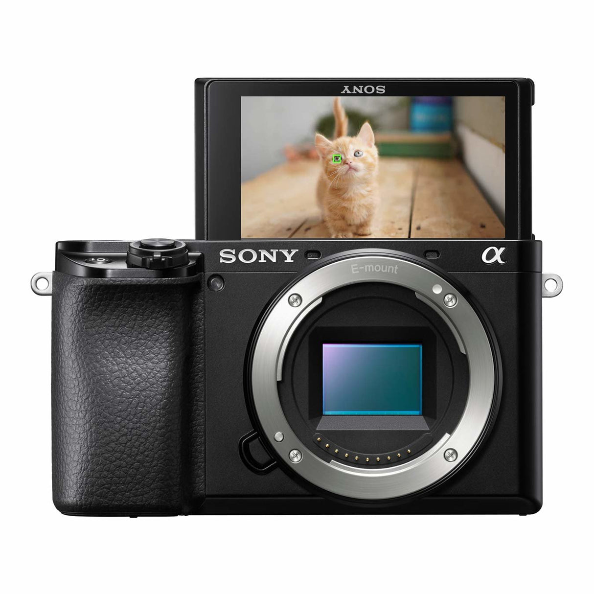 EAN 4548736108646 - Sony α 6100 MILC 24,2 MP CMOS 6000 x 40000 Pixeles Negro imagen 1