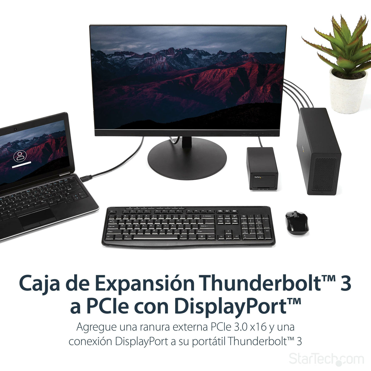 Startech.Com Tb31pciex16 Base Para Portátil Y Replicador De Puertos Alámbrico Negro