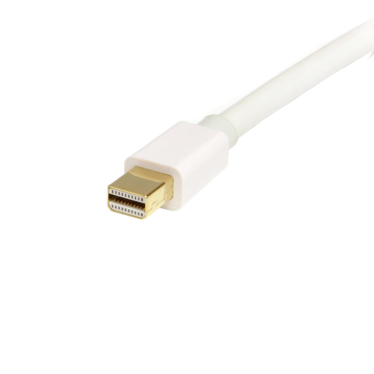 Startech.Com Cable Adaptador De 1m De Monitor Mini Displayport 1.2 Macho A Dp Macho - 4k Blanco