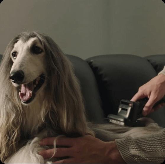 Aspiradora Inalámbrica Stick/Z30 Vzv17a Dreame