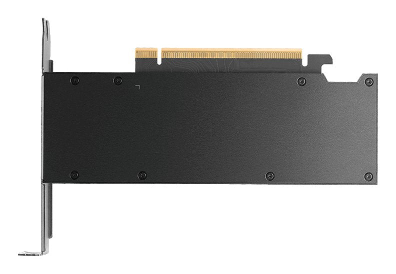 EAN 3536403404116 - PNY RTX PRO 2000 Blackwell NVIDIA 16 GB GDDR7 imagen 2