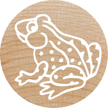 Colop Woodies Mempel-Set "Farm Animation" Retail