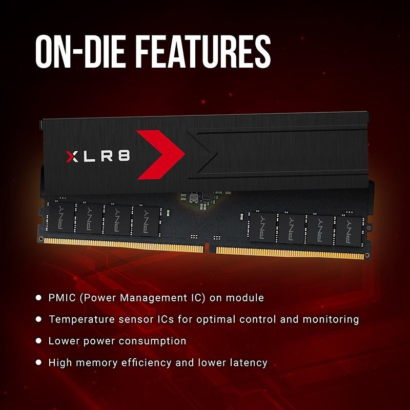 EAN 0751492790657 - PNY MD32GK2D5600036XR módulo de memoria 32 GB 2 x 16 GB DDR5 imagen 6