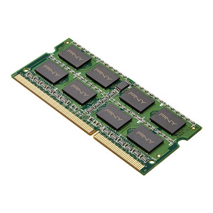 Memoria Pny 8gb Ddr3 1600mhz 1 X 8 Gb Sod8gbn12800
