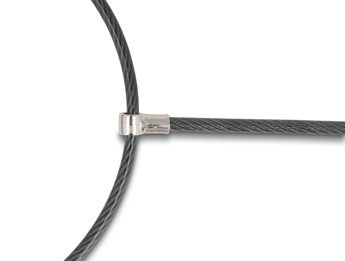 Navilock Dual Notebook Sicherungskabel