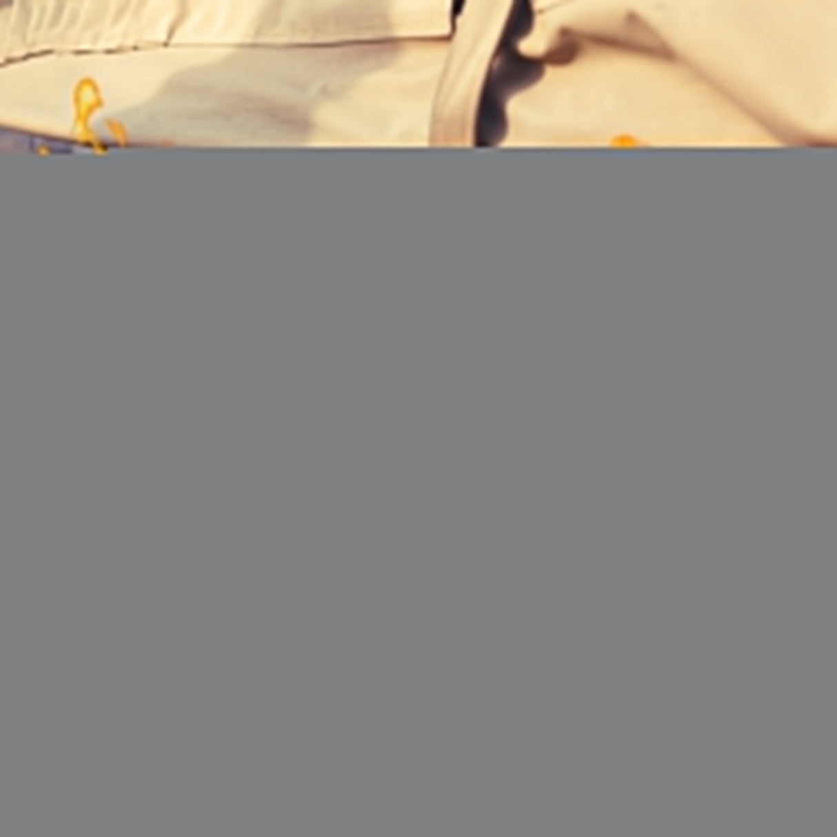 EAN 8054392619113 - Ewent EW5621 extintor de incendios Químico húmedo A, B, C, E imagen 12