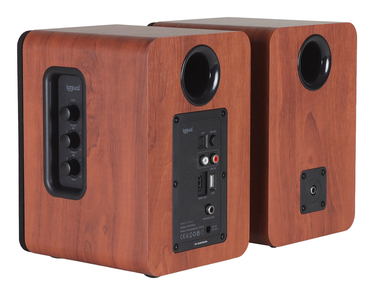 Iggual Altavoces 2.0 50w Bluetooth 5.3 Home Studio Igg319963