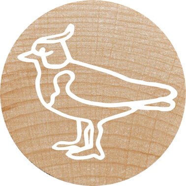 Colop Woodies Mempel-Set "Exotic Animation" Retail