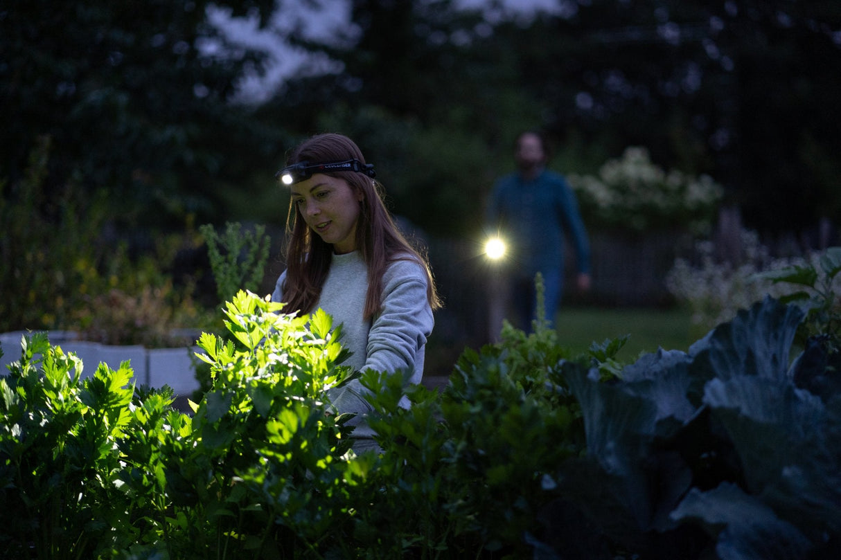 Led Lenser H5r Core Linterna Frontal Negro 500lm