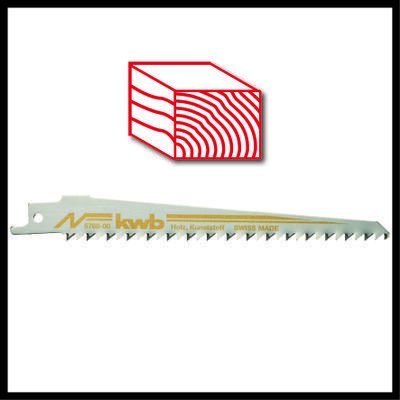 Einhell Sierra Universal Batería Te-Ap 18/28 Li Bl-Solo, Sierra De Sable 4326310