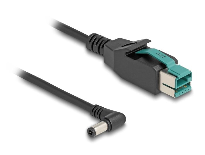 Delock 80611 Cable Poweredusb Macho 12 V A Dc 5,5 X 2,5 Mm Macho Sesgado 3 M
