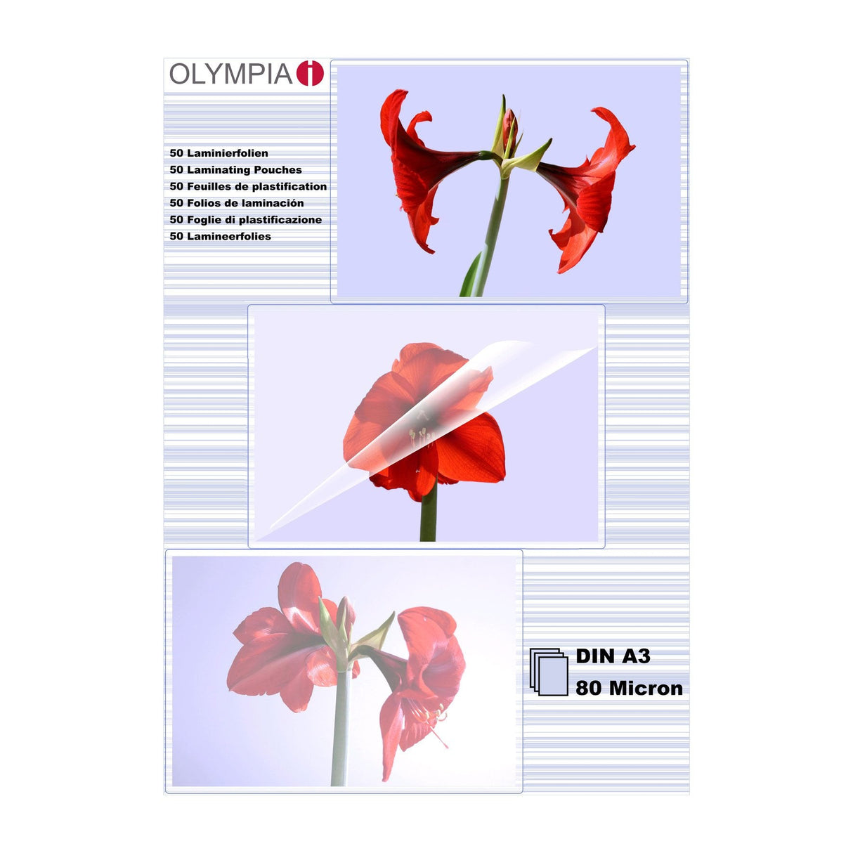 Olympia 1x50 Din A3 80 Micron Plastificador 50 Pieza(S)