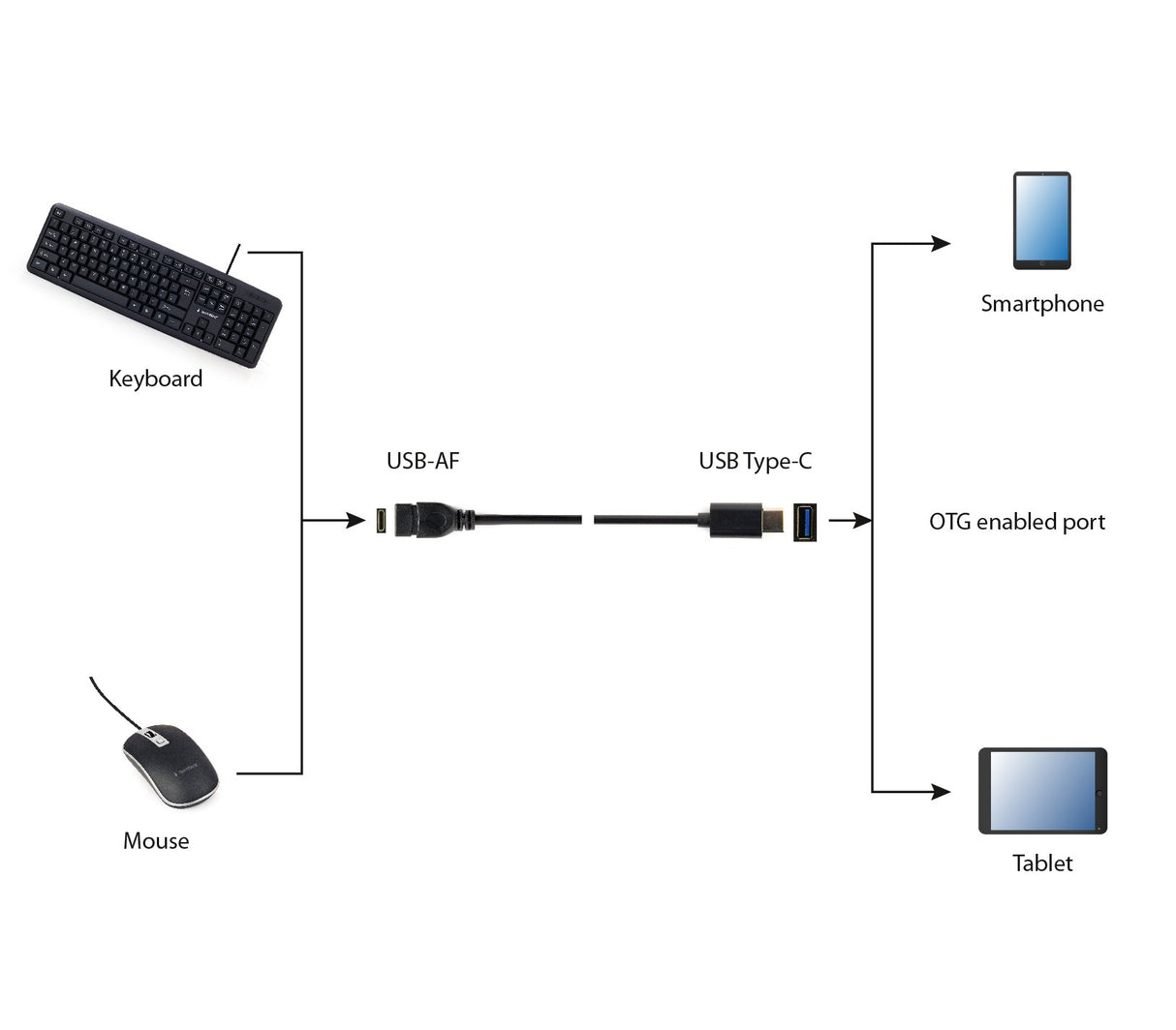 EAN 8716309097550 - Gembird A-OTG-CMAF3-01 cable USB 0,2 m USB C USB A Negro imagen 3
