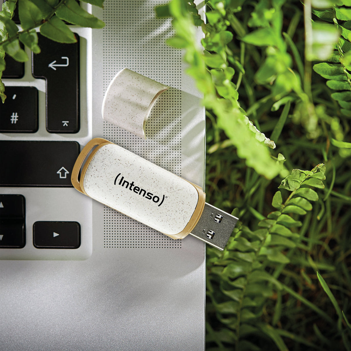 EAN 4034303032822 - Intenso Green Line unidad flash USB 64 GB USB tipo A 3.2 Gen 1 (3.1 Gen 1) Beige, Marrón imagen 4