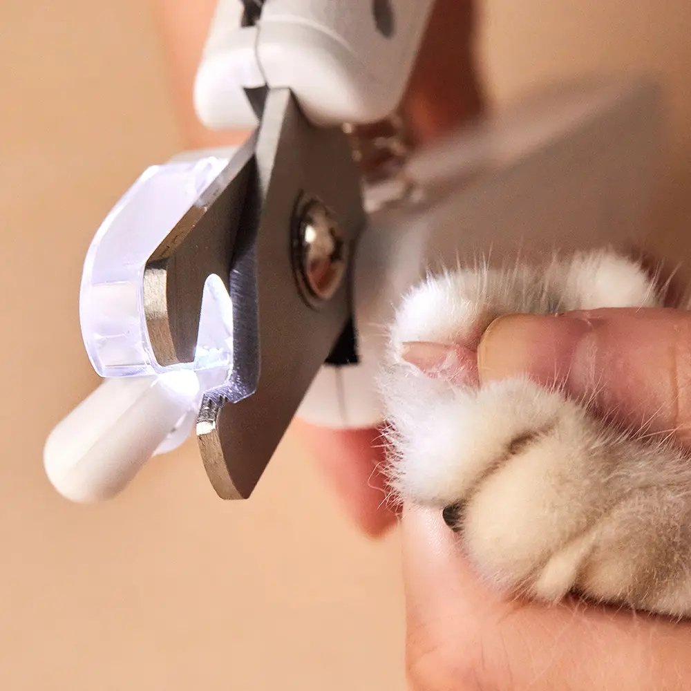 EAN 6975069303017 - PETKIT PK-N1 cortaúñas para mascota imagen 6