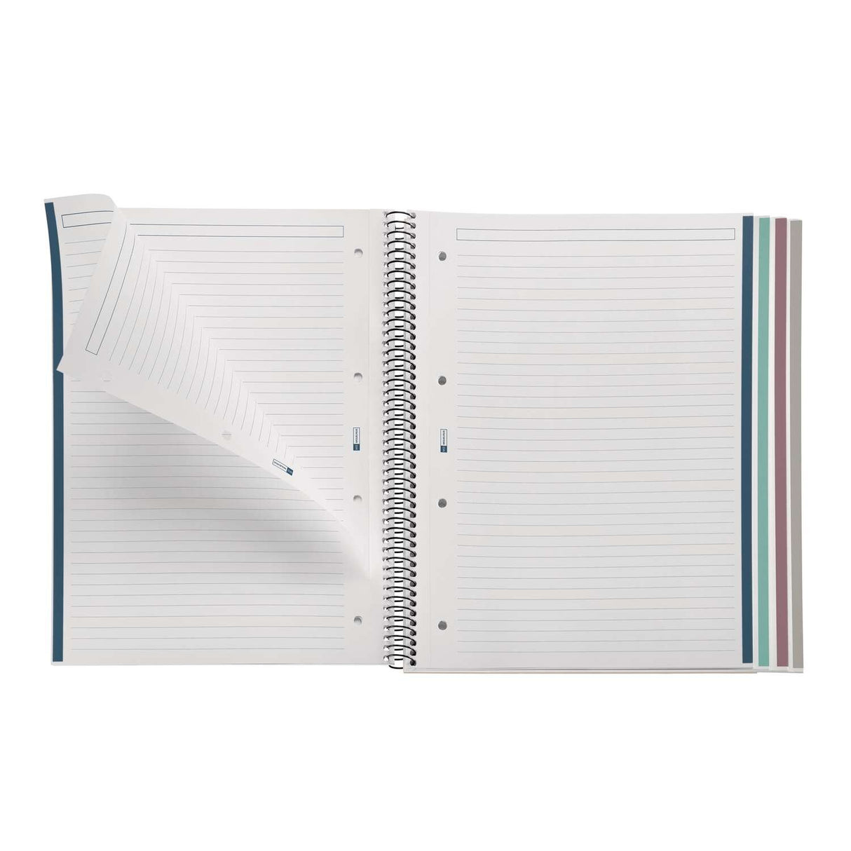 EAN 8422593029596 - MAUL A295999 cuaderno y block A4 120 hojas Multicolor imagen 2