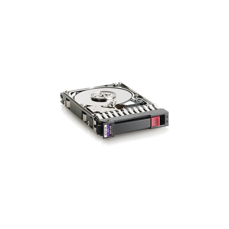 300 Gb Sas 10.000rpm 2.5 Inch Hot-Plug Dual-Port