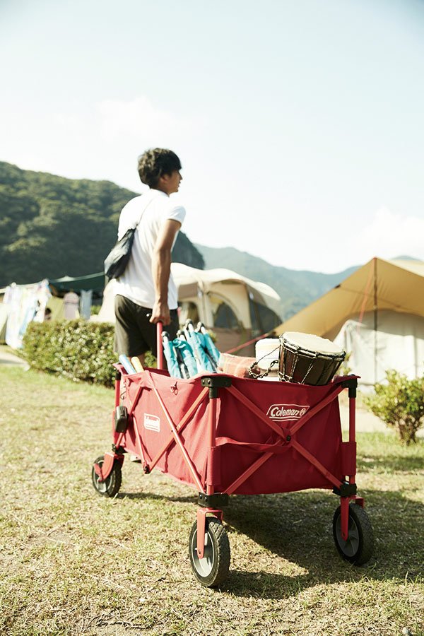 Carro De Mano Coleman 2000035214