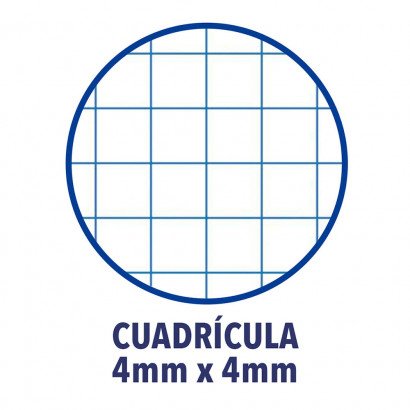 EAN 8412771011505 - Oxford 400058179 papel de cuaderno 210 x 297 mm (A4) 120 hojas imagen 3