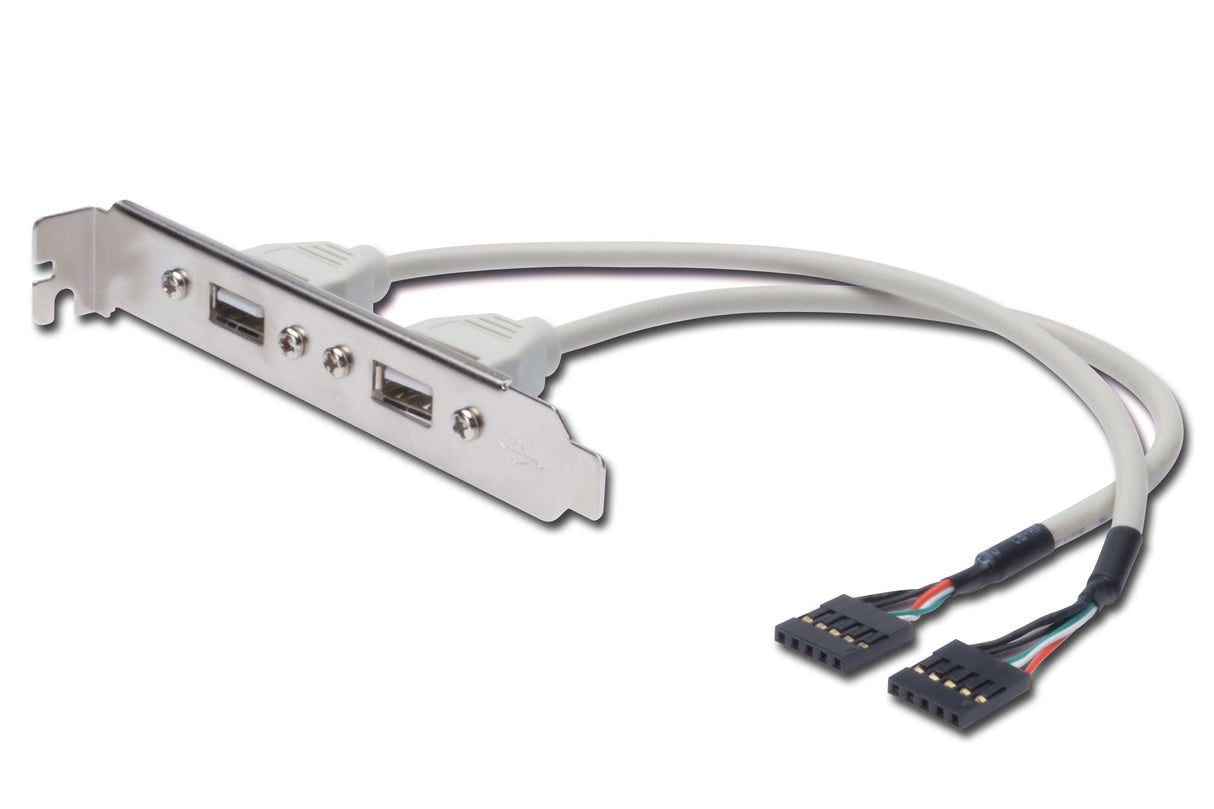 Assmann Bracket 2p Usb 2.0