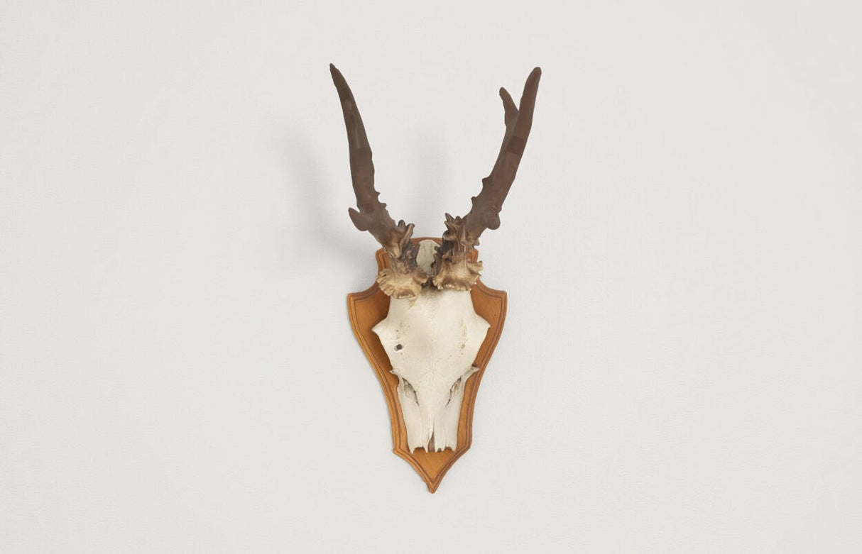 Fischer Heltsklammer Gray, 20 Piezas, Para La Audición De Ciervos Y El Krucken 073121