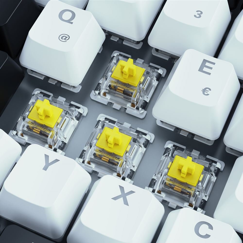EAN 4044951039678 - Sharkoon SKILLER SGK50 S3 teclado Juego USB QWERTY Ruso Blanco imagen 3