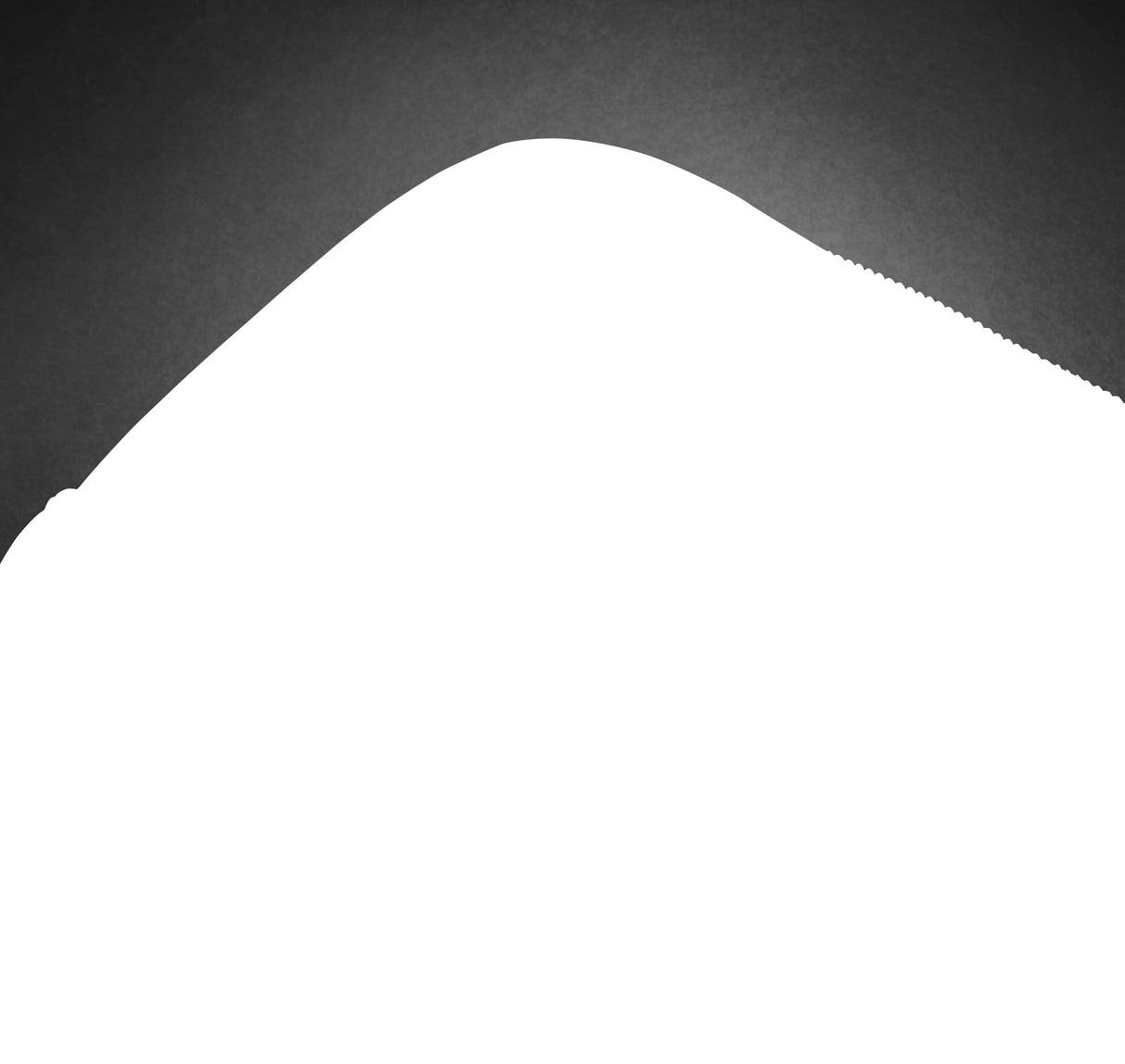 Professional 15.6-Inch Laptop Bag