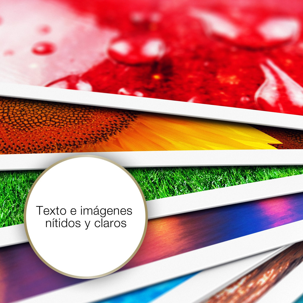 Epson C13s450075 Papel Para Impresora De Inyección De Tinta A4 (210x297 Mm) Mate Blanco