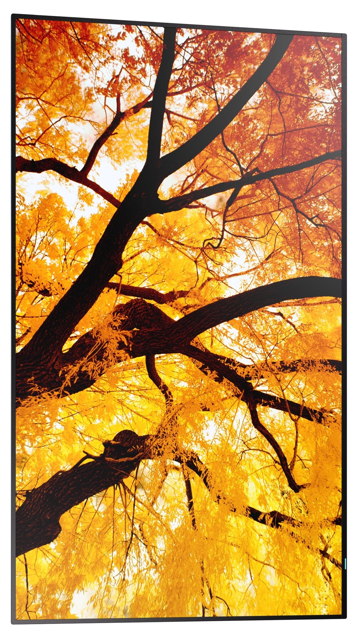 Sharp Multisync M552 Pantalla Plana Para Señalización Digital 139,7 Cm (55") Lcd 550 Cd / M² 4k Ultra Hd Negro Pantalla Táctil