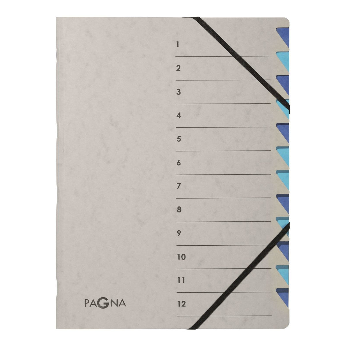 Pagna Carpeta Organizadora Din A4 12-Vías Gris