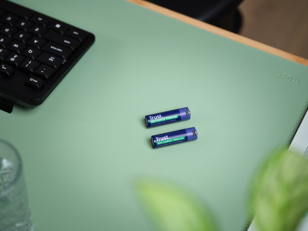 Pila Ecargable Trust Usb-C Aa 1700 Mah Pack De Dos Unidades 25584