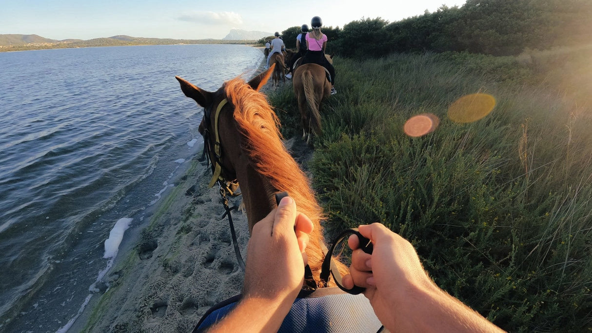 EAN 0810116380060 - GoPro ACHOM-002 accesorio para cámara de deportes de acción Soporte para cámara imagen 8