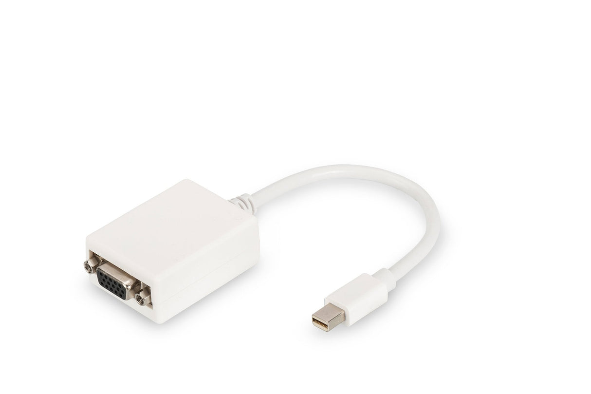 Cable Digitus Adaptador Displayport