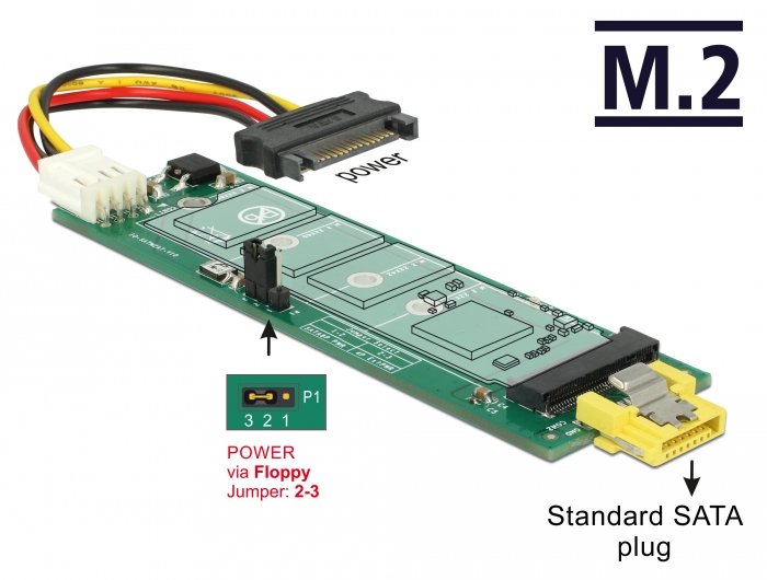 Delock 63917 Convertidor Sata 8 Pines De Potencia Hembra> Ranura M.2 Key B