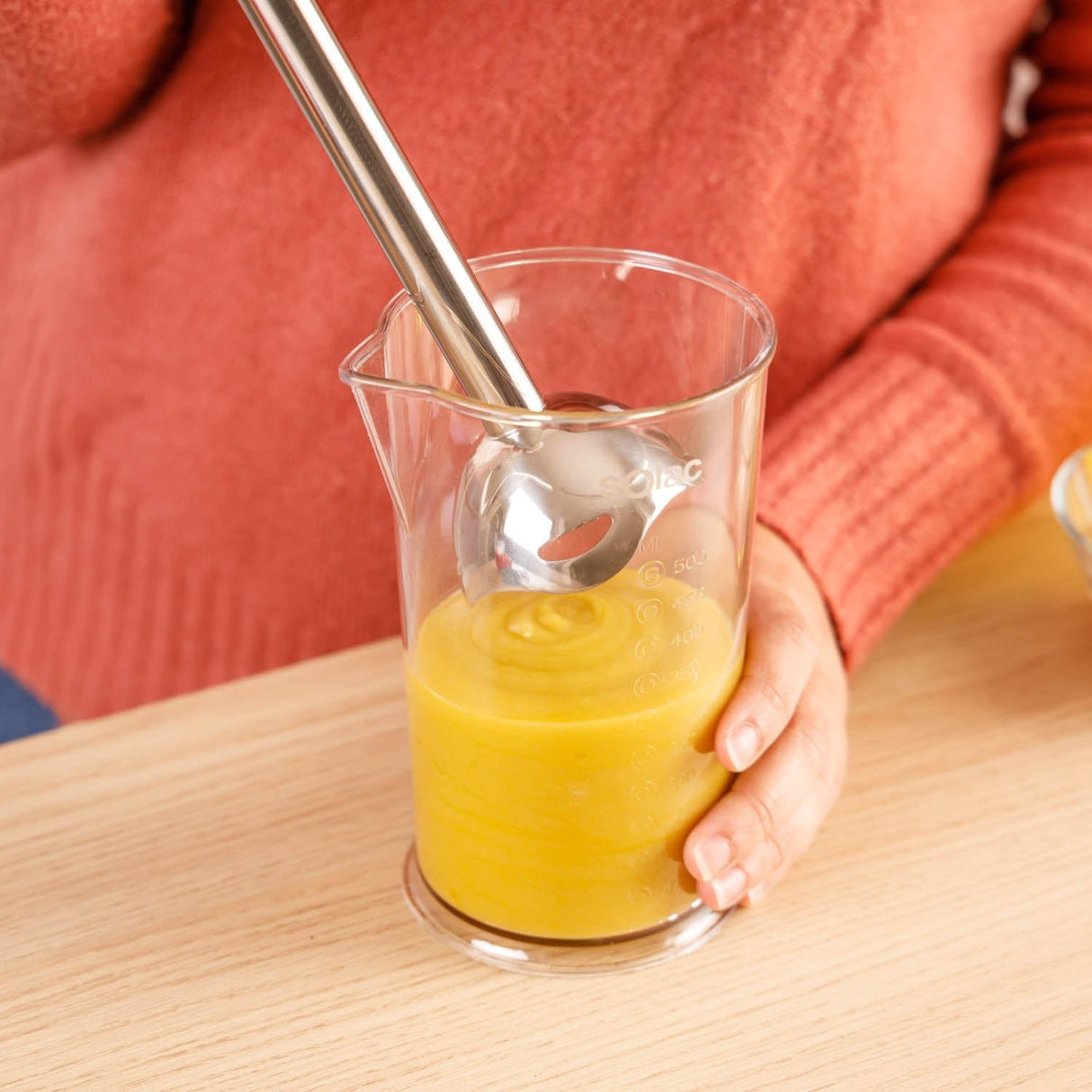 Batidora De Mano Solac S91606000 Ba5614