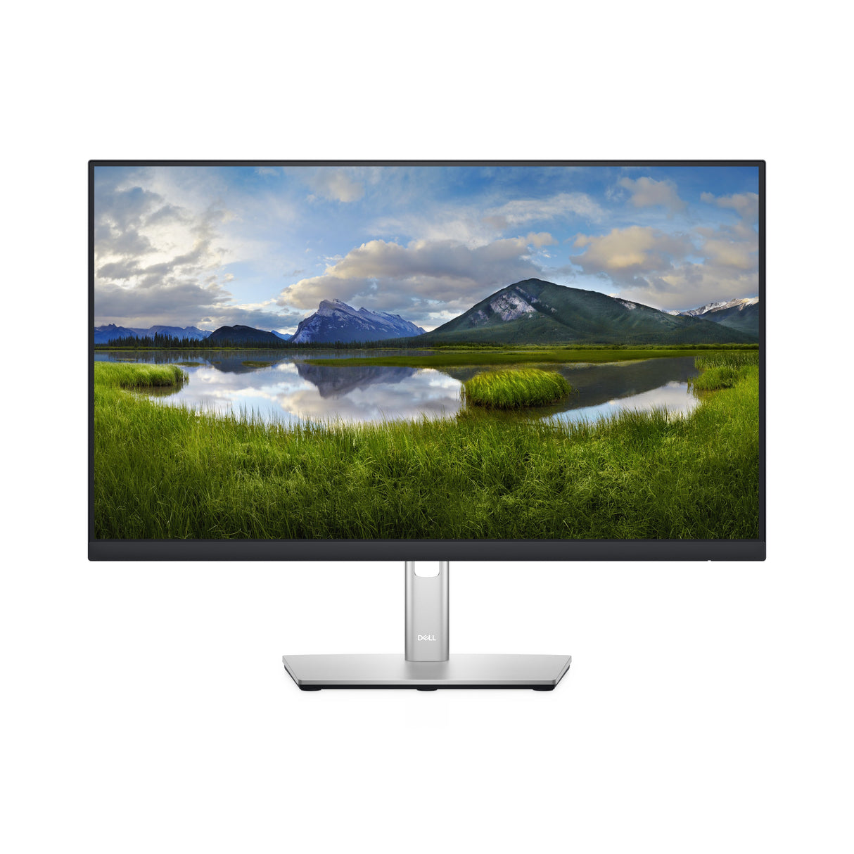 EAN 0884116398035 - DELL P Series P2422H pantalla para PC 60,5 cm (23.8") 1920 x 1080 Pixeles Full HD LCD Negro imagen 1