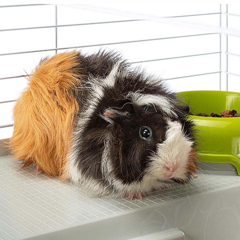 Jaula Ferplast Casita 80