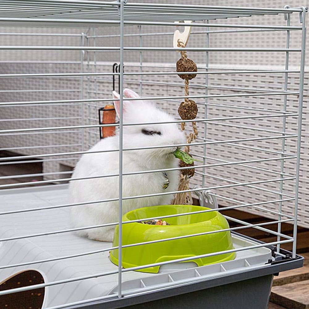 EAN 8010690101590 - Ferplast Rabbit 100 Cobaya, Rabit Gris, Blanco imagen 7