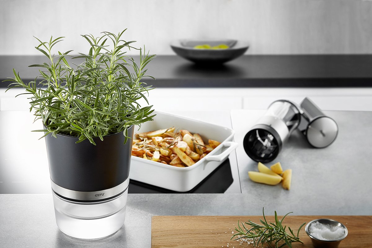 Gefu Botanico Herb Pot