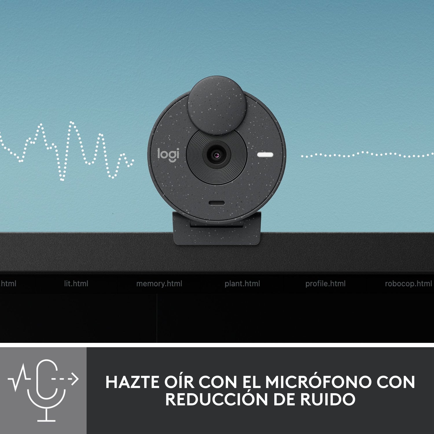 Logitech Brio 300 Cámara Web 2 Mp 1920 X 1080 Pixeles Usb-C Grafito