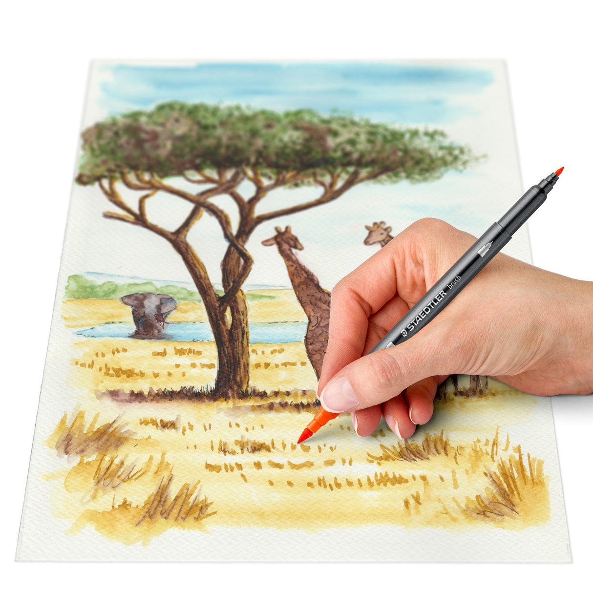 EAN 4007817439159 - Staedtler 3001 C6-3 rotulador Fino imagen 4