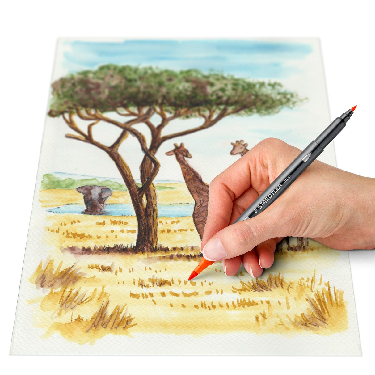 EAN 4007817439159 - Staedtler 3001 C6-3 rotulador Fino imagen 4