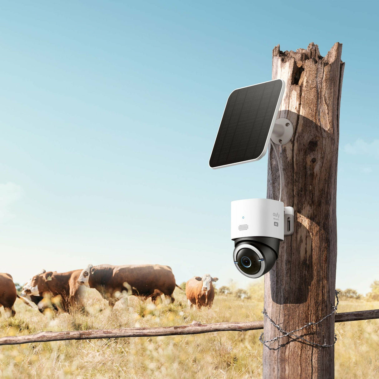 EAN 0194644177768 - Eufy 4G LTE Cam S330 Bala (forma) Cámara de seguridad IP Exterior 3840 x 2160 Pixeles Techo/Pared/Poste imagen 10