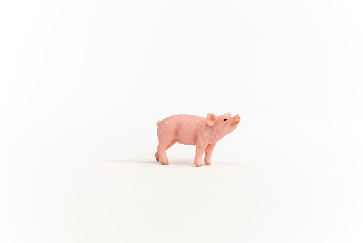 EAN 4059433358628 - schleich FARM WORLD 13934 figura de juguete para niños imagen 5