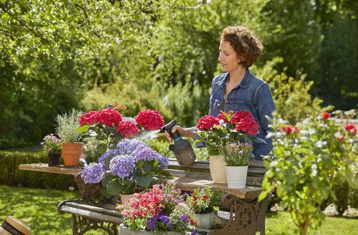 Pulverizador Bomba Gardena 1 L