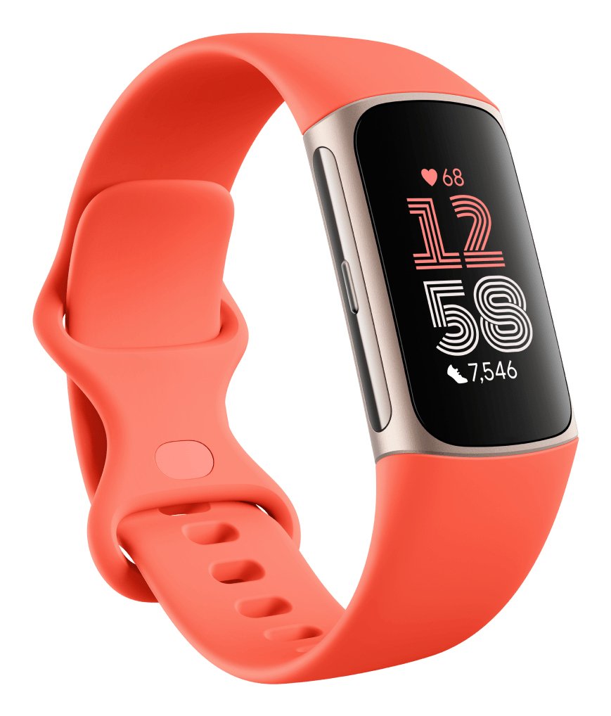 Smartband Fitbit Ga05184 Rojo