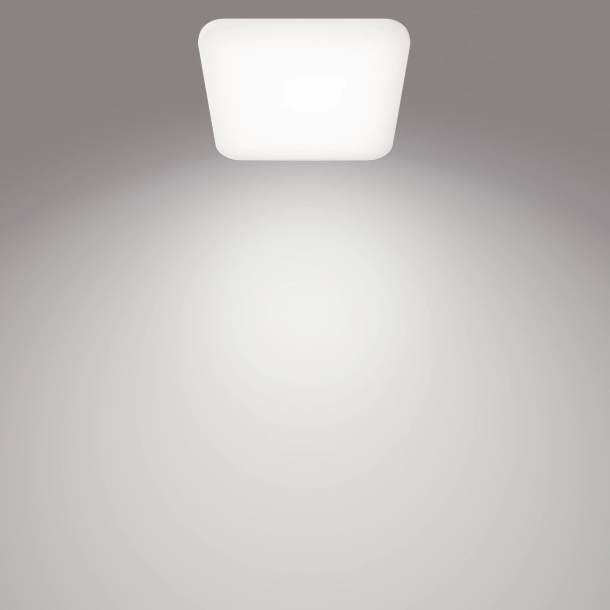 EAN 8720169195516 - Philips Funcional 8720169195516 iluminación de techo LED imagen 2