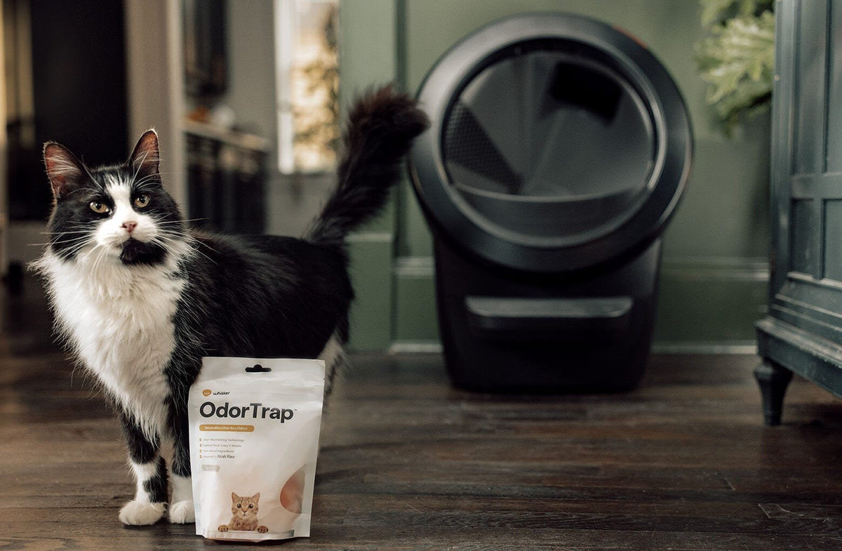 Whisker Odortrap, 6 Pack