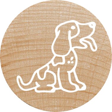 Colop Woodies Mempel-Set "Farm Animation" Retail